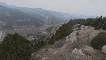 图片详细信息